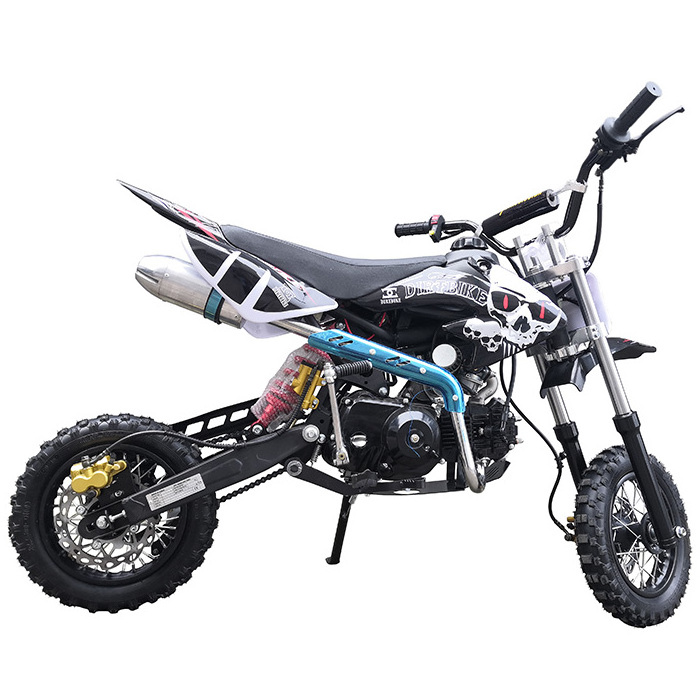 10' Wheels 50cc/70cc/110cc 4 Stroke Automatic Clutch Pit Bike