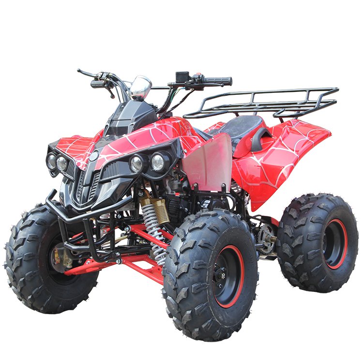 Hot Sales 4-wheel 125cc Cool Sports Racing ATV Quad