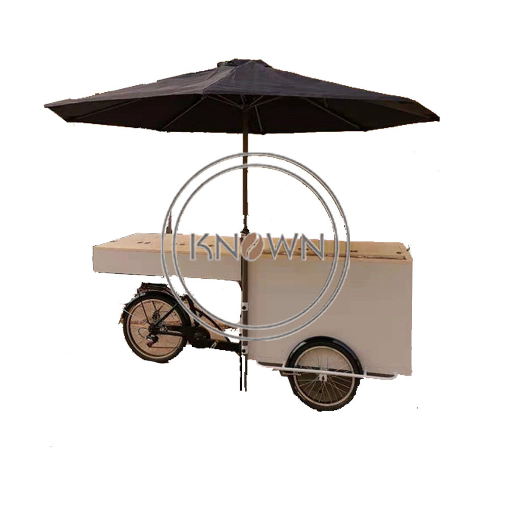 OEM Fridge Ice Cream Tricycle Cargo Bike with Three Wheel Freezer Bicycle Battery Coffee Rickshaw For Sale