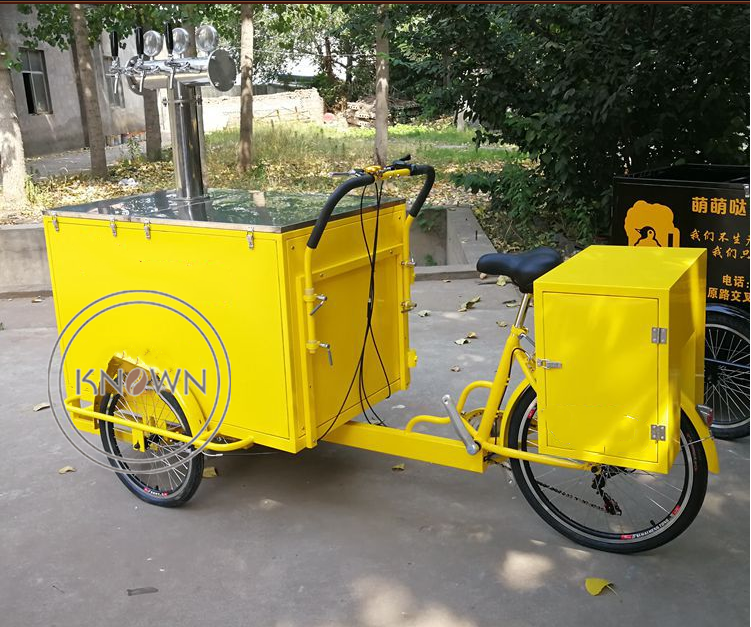 OEM Customized Electric Cargo Tricycle for Sale Philippines Food Vending Bike with Hot Dog Ice Cream