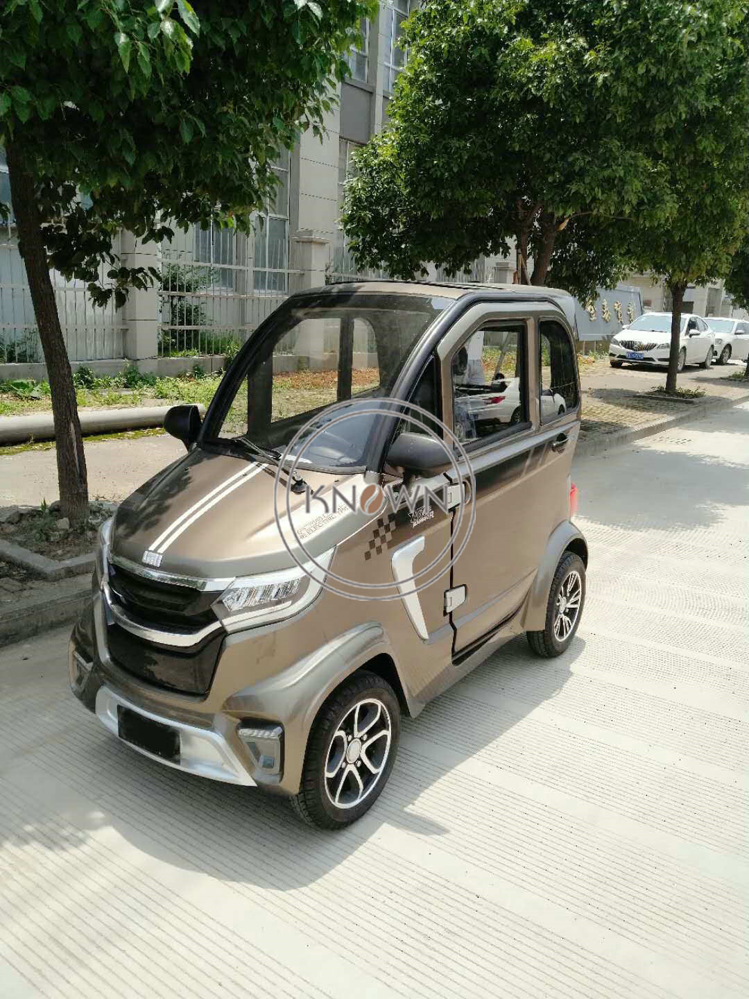 New Energy Vehicle Multi Purpose Small Moped Cheap Electric Cars Light Sedan Leather 4 Wheel Electric Car Single Mini Car