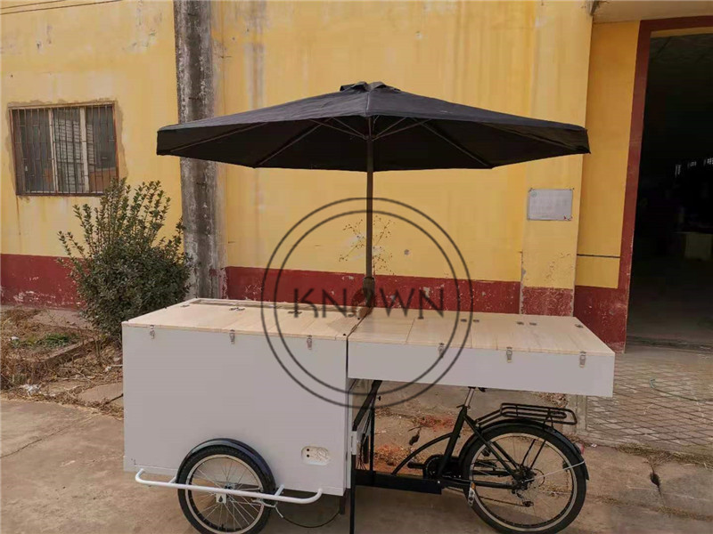 OEM Fridge Ice Cream Tricycle Cargo Bike with Three Wheel Freezer Bicycle Battery Coffee Rickshaw For Sale