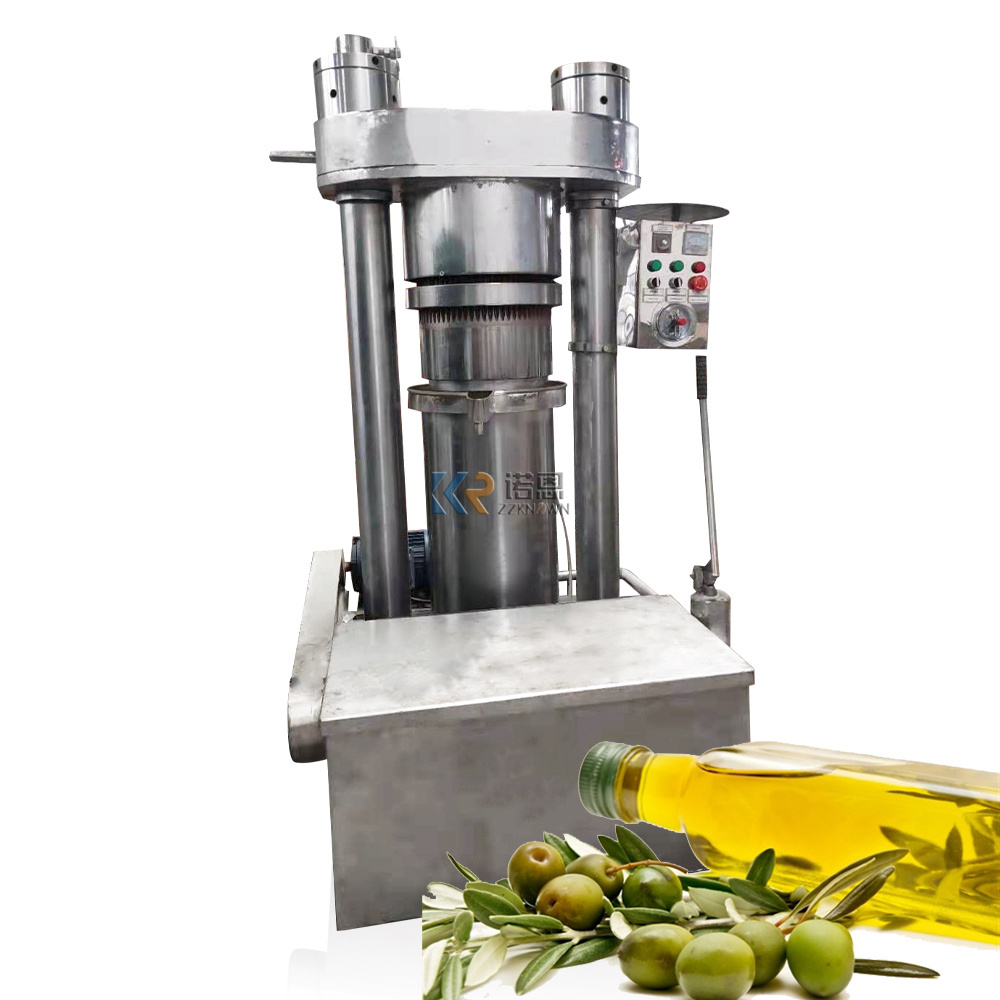 Commercial Olives Seed Oil Extractor Sunflower Seeds Stainless Steel Sesame Oil Presser Cold Press Oil Processing Machines