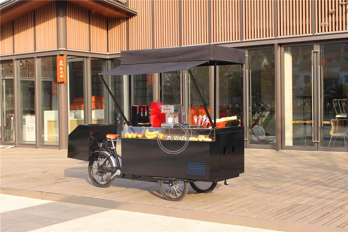 2024 Multifunctional Food Bicycle Exclusive Design Electric Reverse Riding Tricycle Cargo Bike