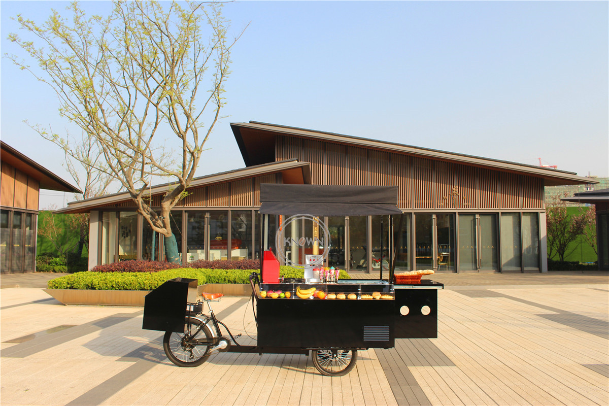 2024 Multifunctional Food Bicycle Exclusive Design Electric Reverse Riding Tricycle Cargo Bike