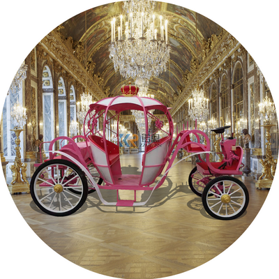 Cinderella carriage power wheels online