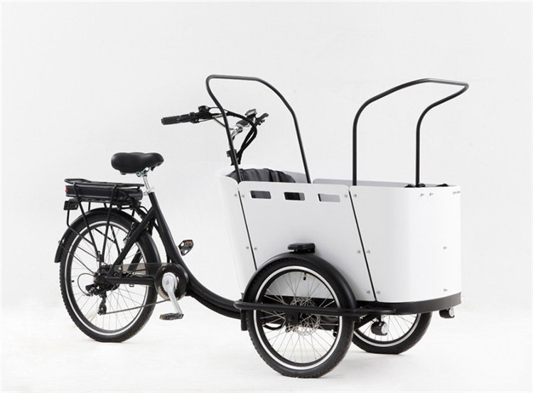 OEM 3 Wheel Ice Cream Cart Electric Food Trike Customized Delivery Tricycle Cargo Bicycle for Sale