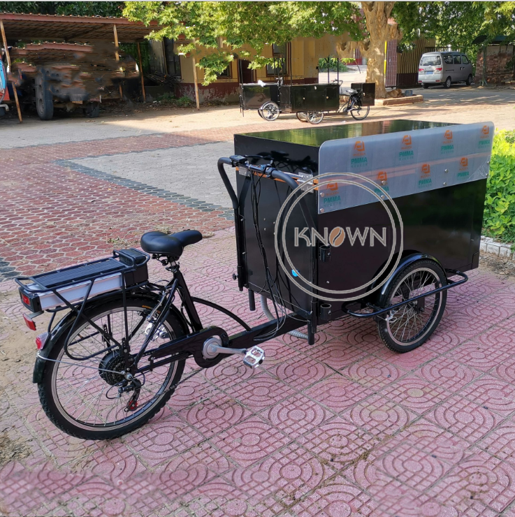 OEM Fast Coffee Vending Cart Food Beer Reversible Cargo Bike for Sale Electric Tricycle with CE Certification