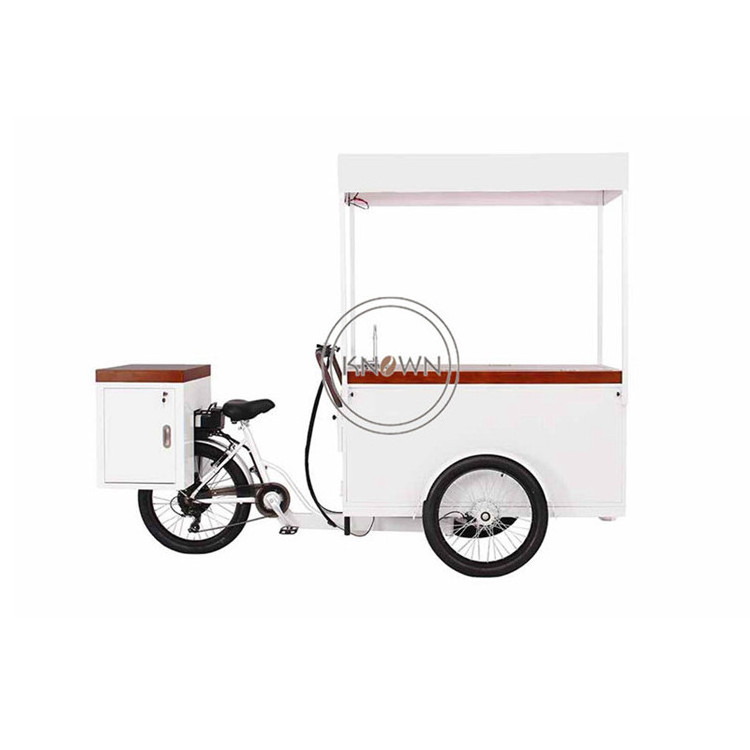 Outdoor Ice Cream Bike With Freezer Mobile Fast 3 Wheel Electric Tricycle Ice Lolly Popsicle Food Vending Cart