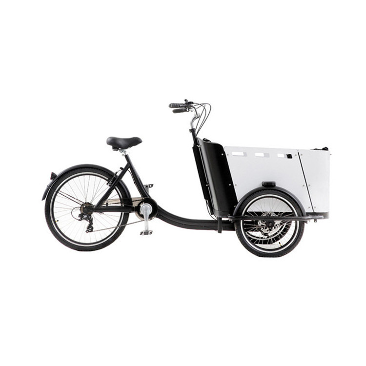 OEM 3 Wheel Ice Cream Cart Electric Food Trike Customized Delivery Tricycle Cargo Bicycle for Sale