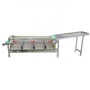 2024 Small Dry Dates Track Classifier Machine Sweet Tomato Selecting and Cherry Fruit Selector Track Equipment