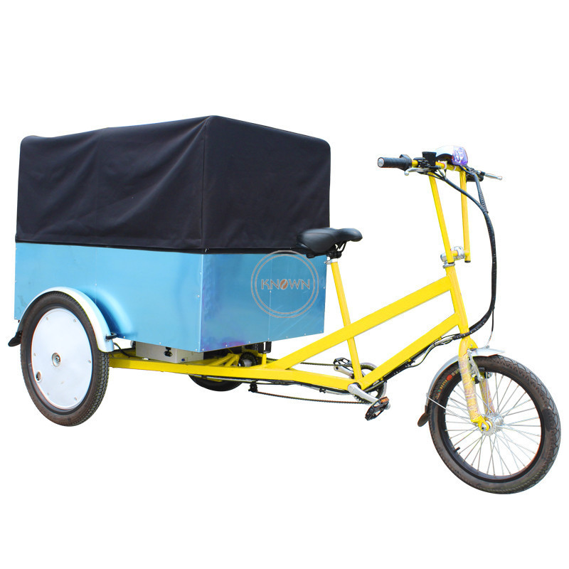 2024 Popular 250W Motor Three Wheel Electric Cargo Bike Bicycle Adult Tricycle Trikes Truck for Sale