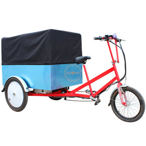 2024 Popular 250W Motor Three Wheel Electric Cargo Bike Bicycle Adult Tricycle Trikes Truck for Sale