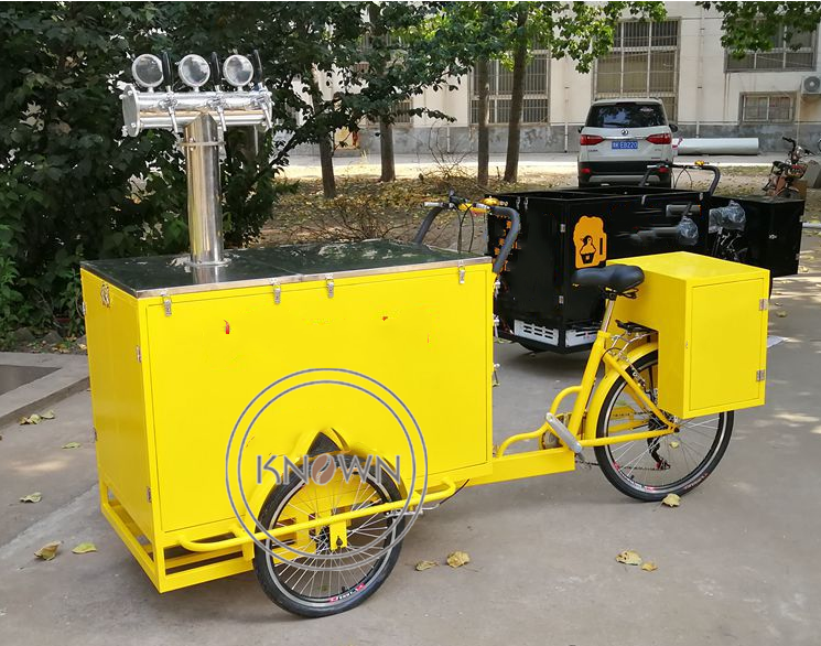 OEM Customized Electric Cargo Tricycle for Sale Philippines Food Vending Bike with Hot Dog Ice Cream