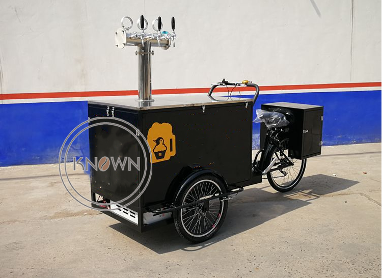 OEM Customized Electric Cargo Tricycle for Sale Philippines Food Vending Bike with Hot Dog Ice Cream