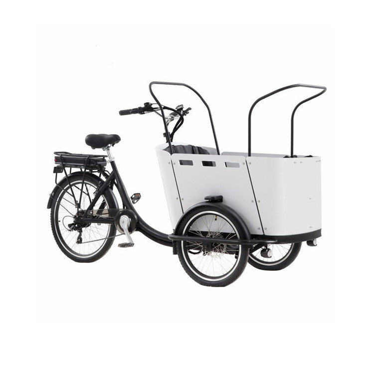 OEM 3 Wheel Ice Cream Cart Electric Food Trike Customized Delivery Tricycle Cargo Bicycle for Sale