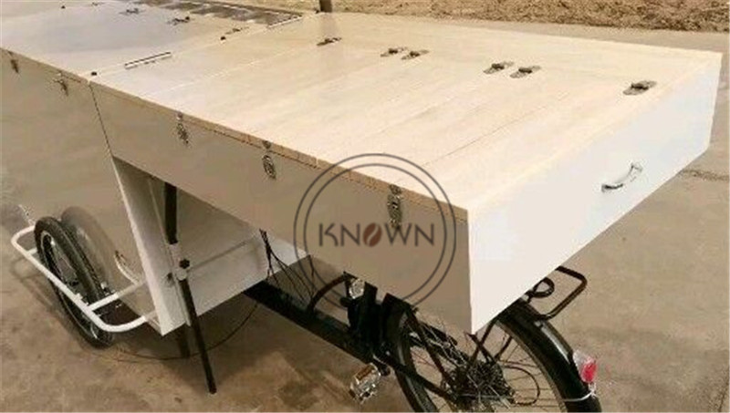 OEM Mobile Ice Cream Bike Snack Cart Folding Coffee Tricycle Dual Purpose Freezer Box Kiosk for Sale