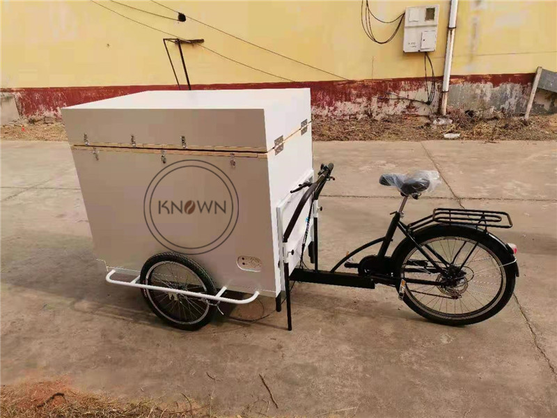 OEM Fridge Ice Cream Tricycle Cargo Bike with Three Wheel Freezer Bicycle Battery Coffee Rickshaw For Sale