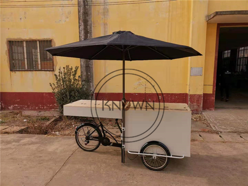 OEM Fridge Ice Cream Tricycle Cargo Bike with Three Wheel Freezer Bicycle Battery Coffee Rickshaw For Sale