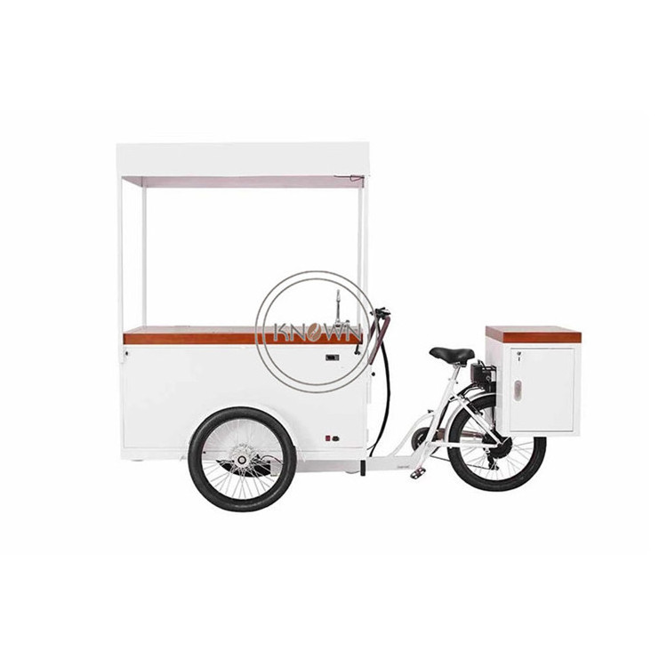 Outdoor Ice Cream Bike With Freezer Mobile Fast 3 Wheel Electric Tricycle Ice Lolly Popsicle Food Vending Cart