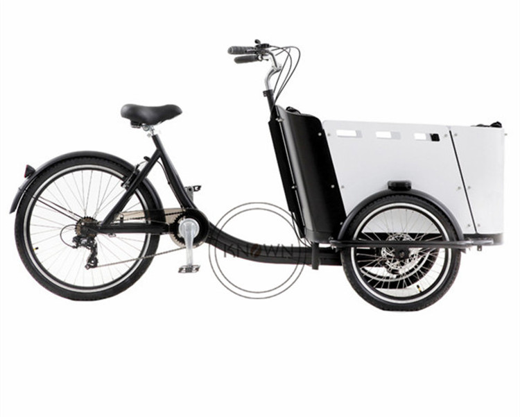 OEM New Style 250W Front Loading Dutch Cargo Bicycle 3 Wheel Family Use Cargo Bike Electric Ice Cream Tricycle for Whole Sale