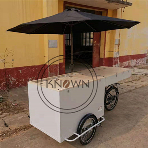 OEM Mobile Ice Cream Bike Snack Cart Folding Coffee Tricycle Dual Purpose Freezer Box Kiosk for Sale