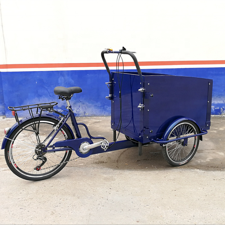 Oem Ce Approved Triciclo Electrico Adulto Family Use Electric Trike Front Loading Cargo Tricycle Mobile 3 Wheel Cargo Bike