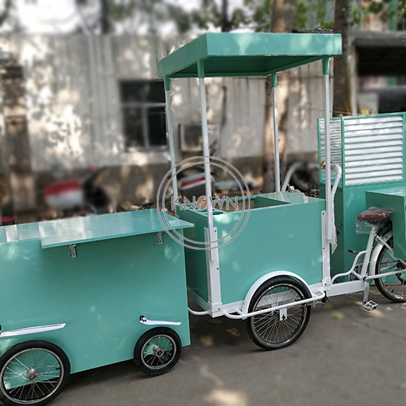 2024 Commercial Electric Cotton Candy Vending Bike 3 Wheel Street Reverse Trike Food Snack Catering Tricycle