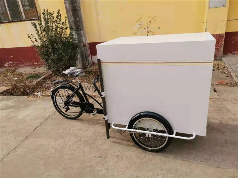 OEM Fridge Ice Cream Tricycle Cargo Bike with Three Wheel Freezer Bicycle Battery Coffee Rickshaw For Sale