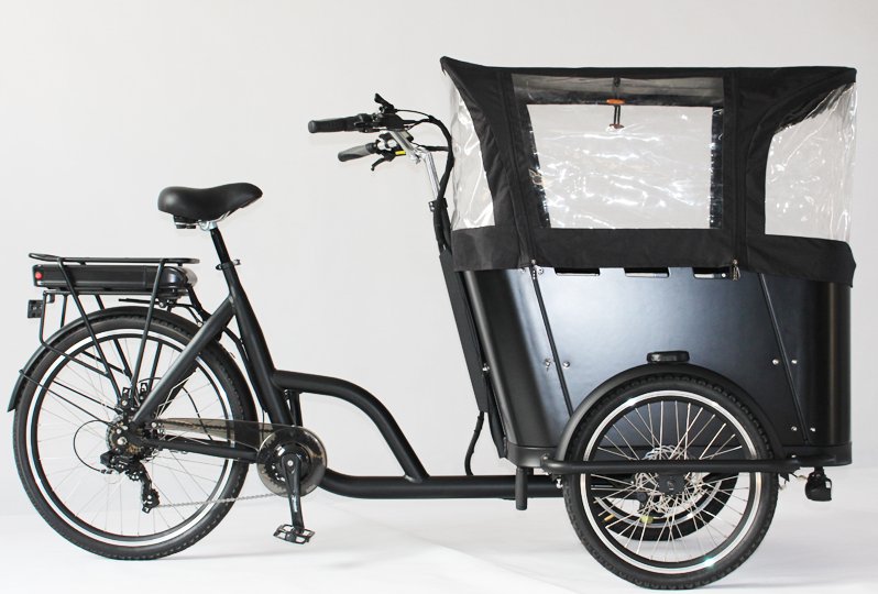 OEM New Style 250W Front Loading Dutch Cargo Bicycle 3 Wheel Family Use Cargo Bike Electric Ice Cream Tricycle for Whole Sale