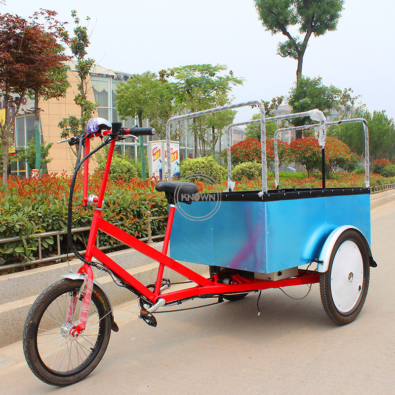 2024 Popular 250W Motor Three Wheel Electric Cargo Bike Bicycle Adult Tricycle Trikes Truck for Sale