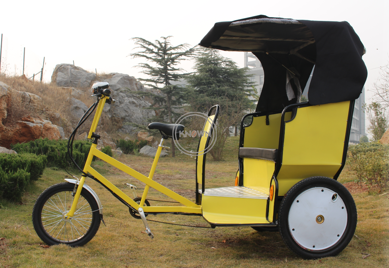 OEM Comfort Travel Electric Tricycle Rickshaw Mobile Cart 3 Wheel Passenger Cargo Sightseeing Bike Adult Taxi