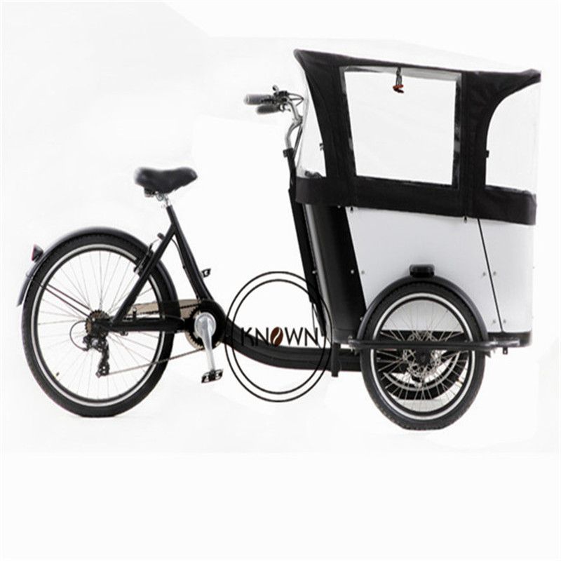 OEM New Style 250W Front Loading Dutch Cargo Bicycle 3 Wheel Family Use Cargo Bike Electric Ice Cream Tricycle for Whole Sale