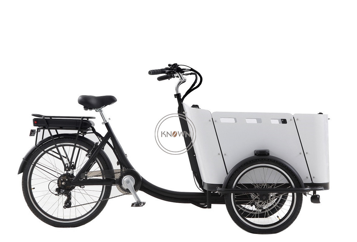 OEM New Coming Front Loading 3 Wheel Electric Tricycle Transport Adult Tricycle With Wood Case Electric Bike Cargo Trailer