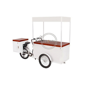 Outdoor Ice Cream Bike With Freezer Mobile Fast 3 Wheel Electric Tricycle Ice Lolly Popsicle Food Vending Cart