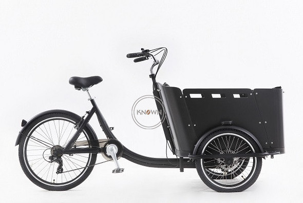 OEM New Coming Front Loading 3 Wheel Electric Tricycle Transport Adult Tricycle With Wood Case Electric Bike Cargo Trailer