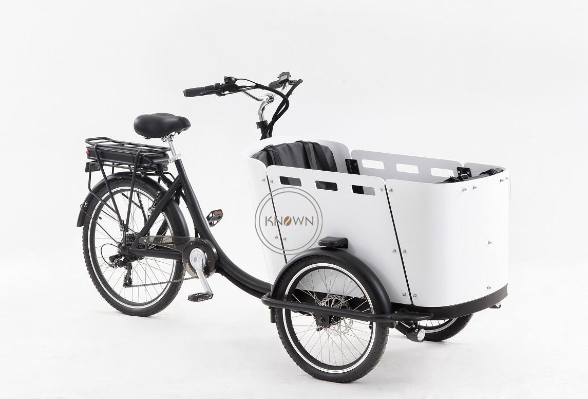 OEM New Coming Front Loading 3 Wheel Electric Tricycle Transport Adult Tricycle With Wood Case Electric Bike Cargo Trailer