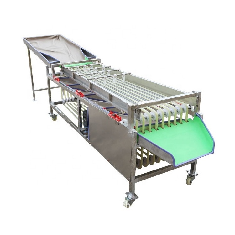 2024 Small Dry Dates Track Classifier Machine Sweet Tomato Selecting and Cherry Fruit Selector Track Equipment