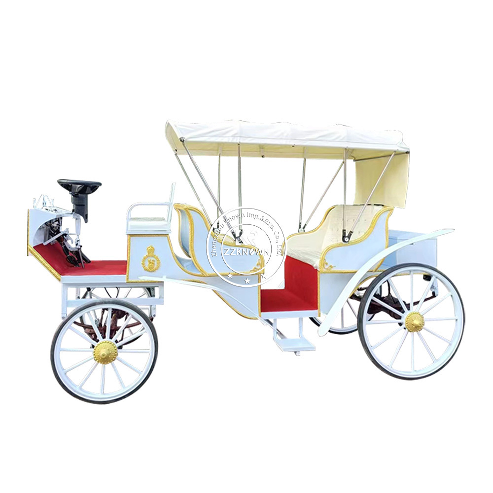 OEM American's Favorite Electric Horseless Carriage For Wedding popular Electric Buggy For Special Events traditional Horse Cart