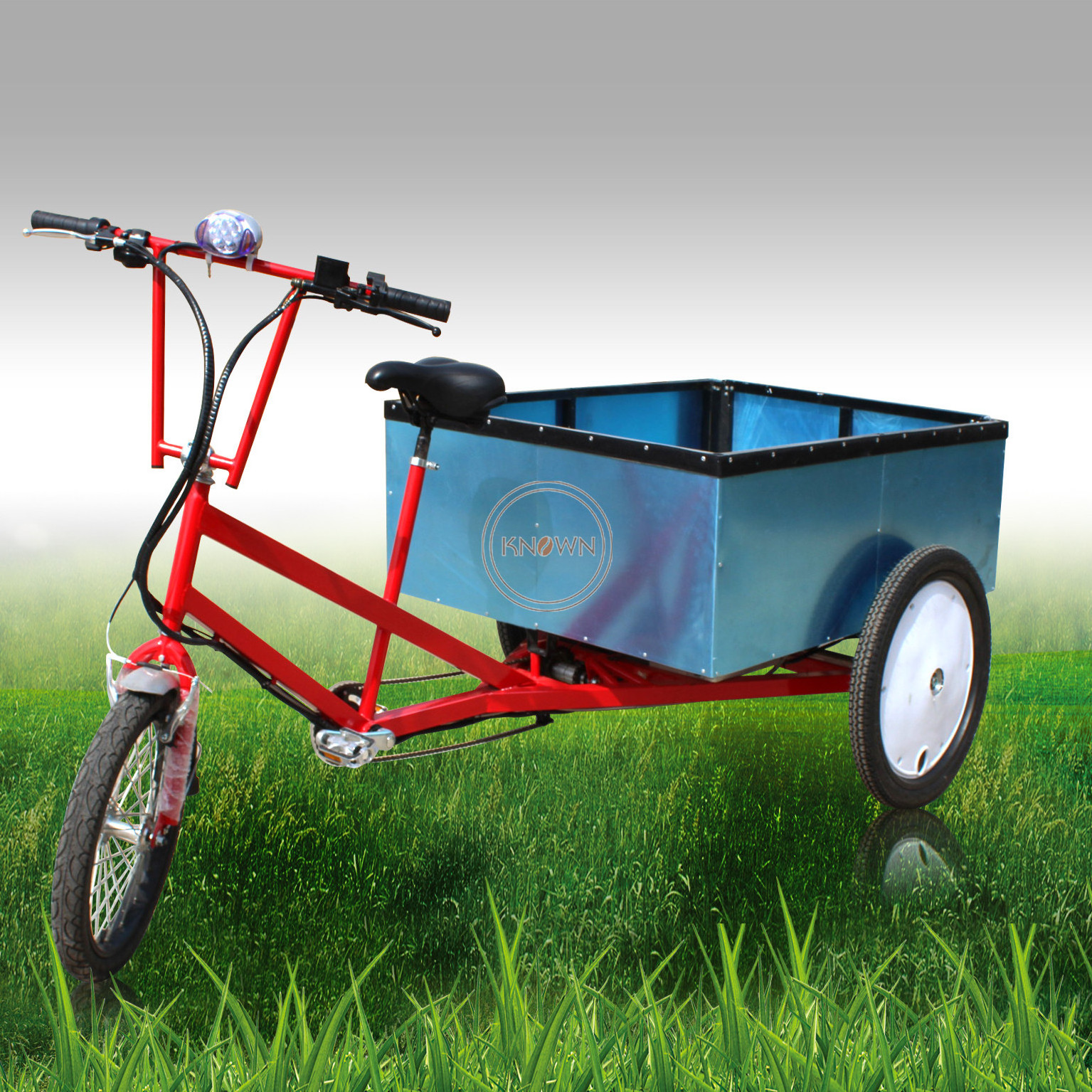 2024 Popular 250W Motor Three Wheel Electric Cargo Bike Bicycle Adult Tricycle Trikes Truck for Sale