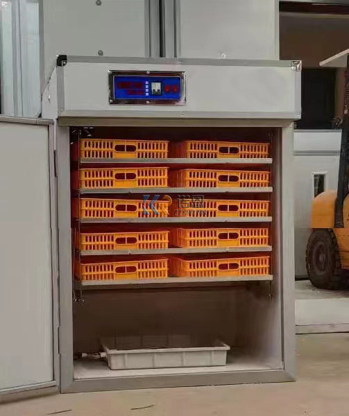 Sale Snack Food Factory Incubator For Parrots Eggs Electric And Solar Power Hatcher 1056 Egg