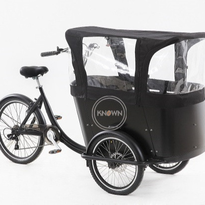 OEM New Coming Front Loading 3 Wheel Electric Tricycle Transport Adult Tricycle With Wood Case Electric Bike Cargo Trailer