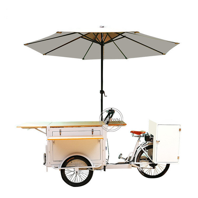 OEM 3 Wheel Pedal Assist Cargo Bike Customized Hot Dog Tricycle Trike Commercial Food Coffee Vending Cart