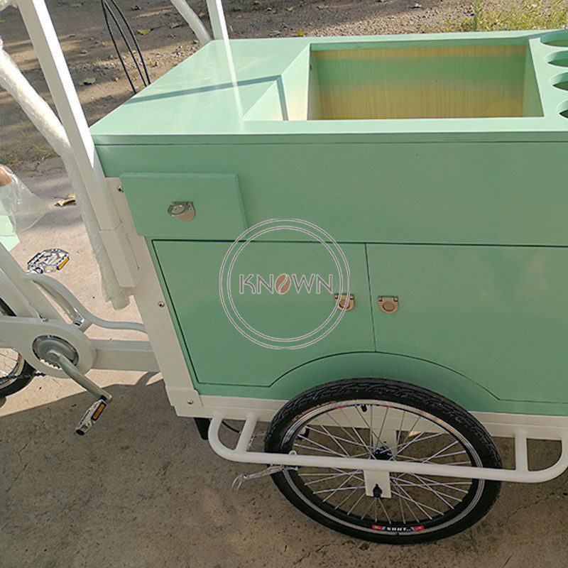 2024 Commercial Electric Cotton Candy Vending Bike 3 Wheel Street Reverse Trike Food Snack Catering Tricycle