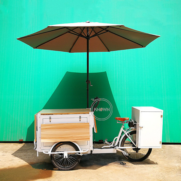 OEM 3 Wheel Pedal Assist Cargo Bike Customized Hot Dog Tricycle Trike Commercial Food Coffee Vending Cart