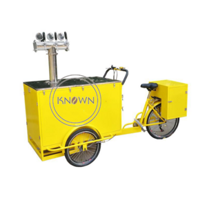 OEM Customized Electric Cargo Tricycle for Sale Philippines Food Vending Bike with Hot Dog Ice Cream