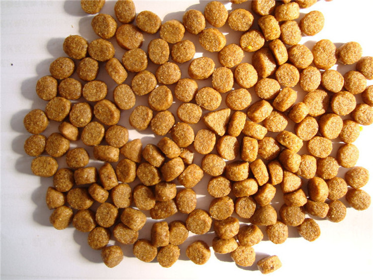 2024 Electric Animal Fish Feed Pellet Making Machine for Pet Nigeria Dog Cat Food Floating Fish Pellet Extruder