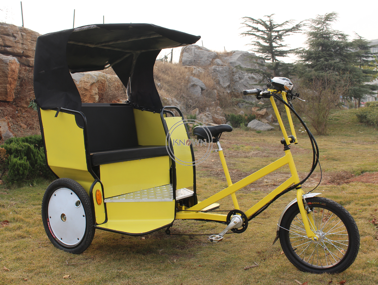 OEM Comfort Travel Electric Tricycle Rickshaw Mobile Cart 3 Wheel Passenger Cargo Sightseeing Bike Adult Taxi