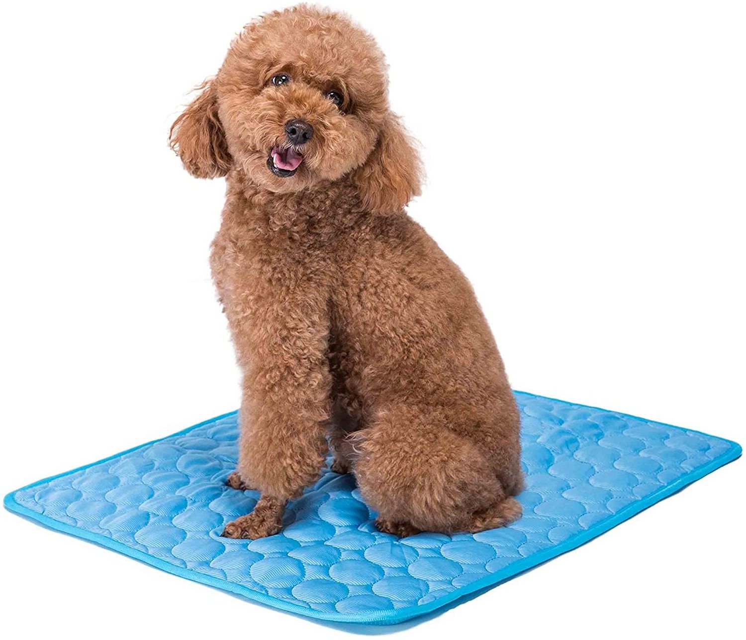 Indoor & Outdoor Chilly Pad for Kennels Crates Cars,Reusable Cooling Mat Cooling Pad for Pets