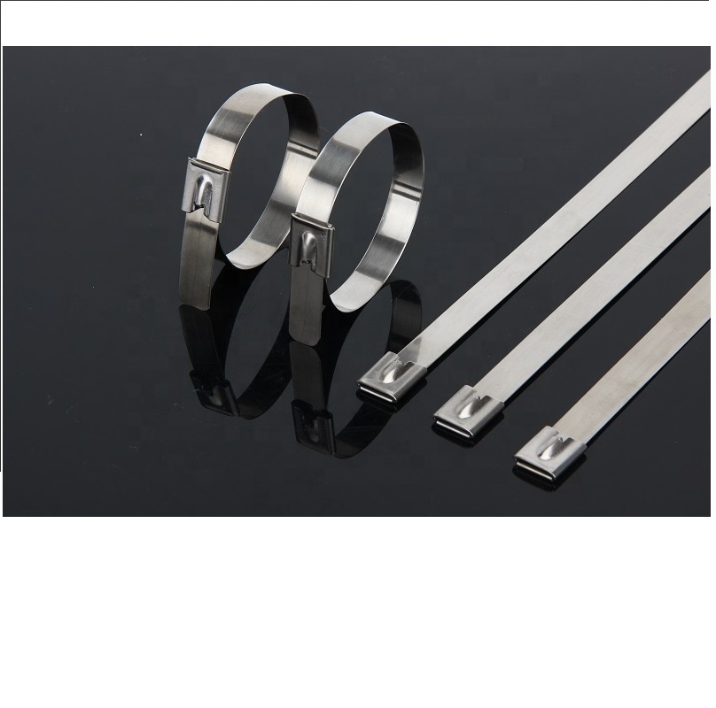 304 Stainless steel Material 8X450  100Pcs Naked coating Cable Tie